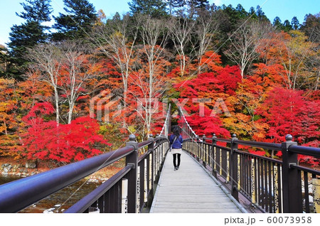 塩原温泉の町並み　紅の吊橋と紅葉 60073958