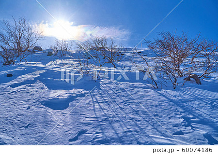 冬の長野県 蓼科山の七合目登山口経由で2500m付近の登山道から山頂方面を見る 冬の長野県 蓼科山の七合目登山口経由で2500m付近の登山道から山頂方面を見る 60074186