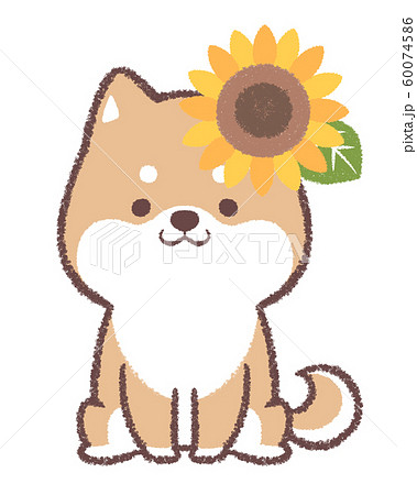 Sunflower Shiba Inu Stock Illustration