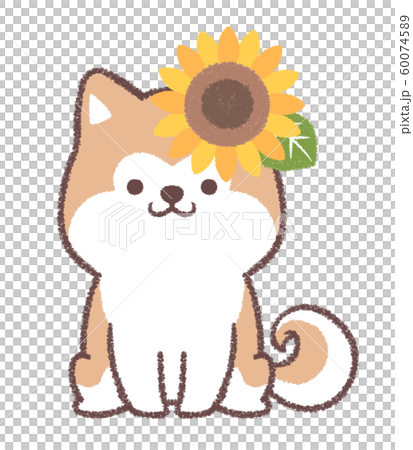 ヒマワリ秋田犬のイラスト素材 [60074589] - PIXTA