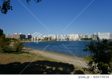 大森ふるさとの浜辺公園 大森ふるさとの浜辺公園 60074656