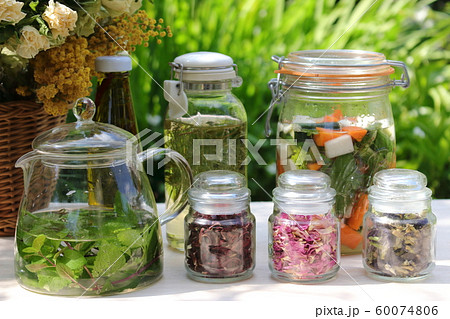 ハーブのガーデンパーティー ハーブのガーデンパーティー 60074806