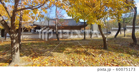 韓国の風景 韓屋 韓屋村 60075173