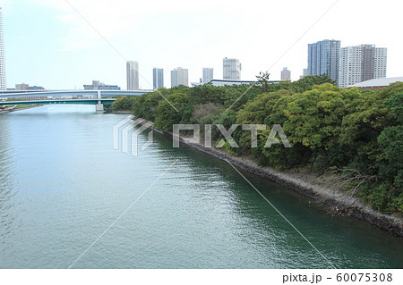 東京湾旧防波堤 60075308
