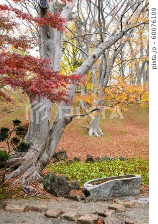 千秋公園　茶庭　秋田県 60076109