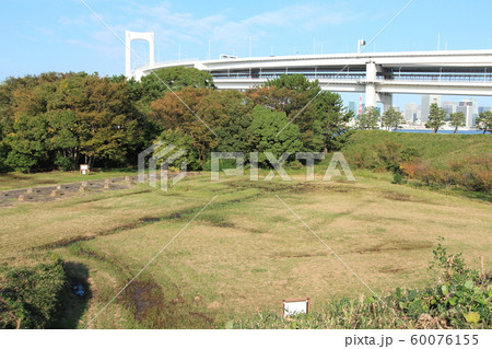 都立台場公園 都立台場公園 60076155