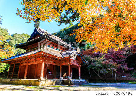 多久聖廟の紅葉 【佐賀県多久市】 多久聖廟の紅葉 【佐賀県多久市】 60076496