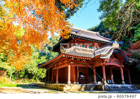多久聖廟の紅葉　【佐賀県多久市】 60076497