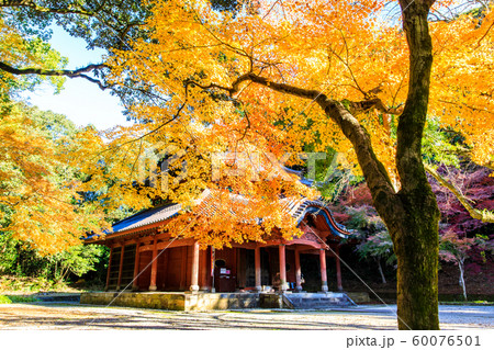 多久聖廟の紅葉　【佐賀県多久市】 60076501
