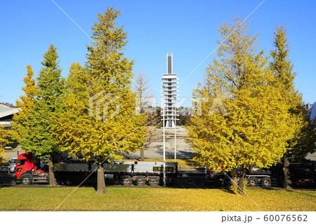 11月　世田谷38都立駒沢ｵﾘﾝﾋﾟｯｸ公園の紅葉 60076562