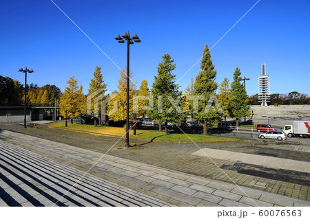 11月　世田谷37都立駒沢ｵﾘﾝﾋﾟｯｸ公園の紅葉 60076563