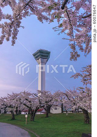 北海道の美しい桜 北海道の美しい桜 60076647