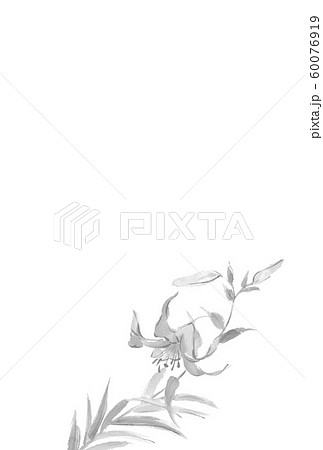 喪中ハガキ ユリ 花柄 文字なし 60076919