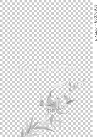 喪中ハガキ ユリ 花柄 文字なし 60076919