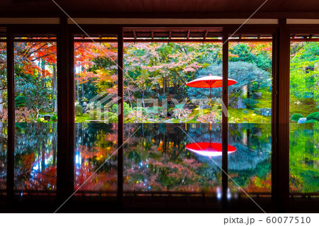 旧竹林院の紅葉 60077510