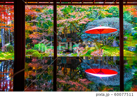 旧竹林院の紅葉 60077511