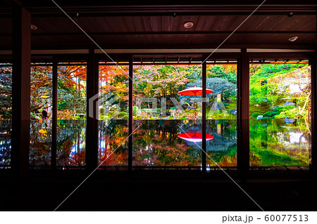 旧竹林院の紅葉 旧竹林院の紅葉 60077513