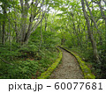 山道　小道　緑 60077681