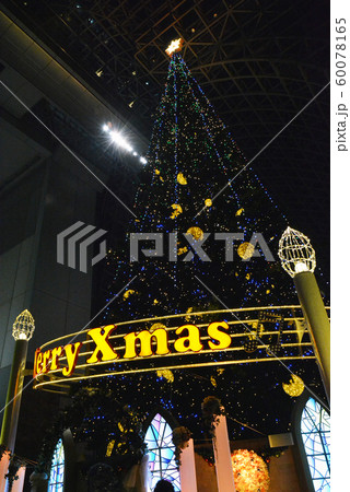 巨大なクリスマスツリー 12月 師走 冬 巨大なクリスマスツリー 12月 師走 冬 60078165