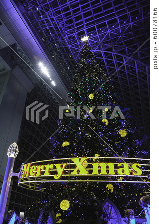 巨大なクリスマスツリー 12月 師走 冬 巨大なクリスマスツリー 12月 師走 冬 60078166