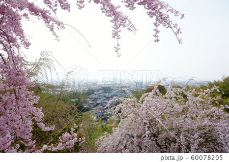 大神神社 大神神社 60078205