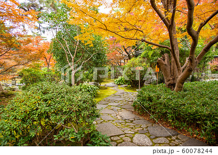 三重県　桑名　諸戸氏庭園の秋の一般公開　紅葉の庭 60078244