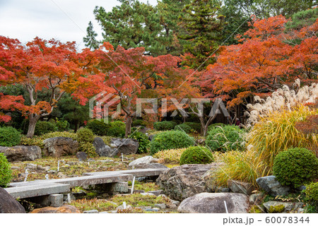 三重県 桑名 諸戸氏庭園の秋の一般公開 紅葉の庭 敷石の通路 三重県 桑名 諸戸氏庭園の秋の一般公開 紅葉の庭 敷石の通路 60078344