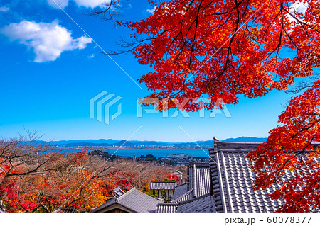 西教寺の紅葉 西教寺の紅葉 60078377