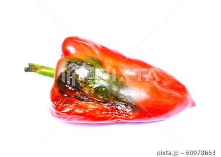 Rotten pepper isolated on white background. Spoiled food.	 60078663
