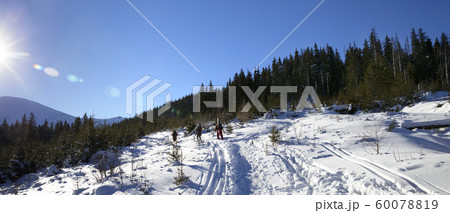 Freeriders with skis go on footpath in snow at sun 60078819