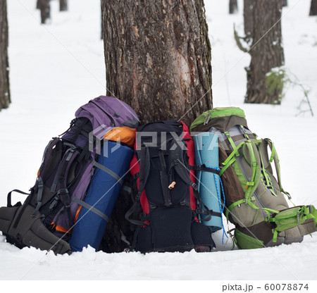 Three backpacks near pine tree on snow at winter Three backpacks near pine tree on snow at winter 60078874