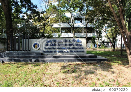 マヒドン大学 マヒドン大学 60079220