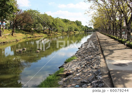マヒドン大学 マヒドン大学 60079244