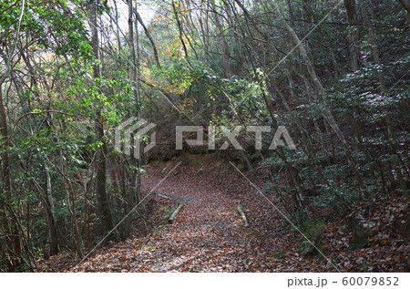 日本の岡山の山の秋の紅葉 60079852