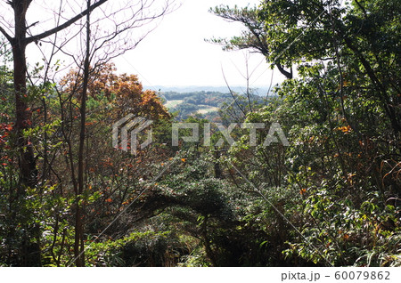 日本の岡山の山の秋の紅葉 日本の岡山の山の秋の紅葉 60079862