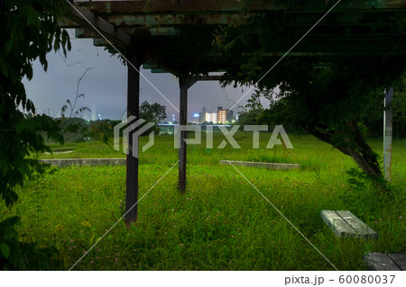 深夜の夢前川を散歩（兵庫県姫路市広畑区東新町）※作品コメント欄に撮影位置 60080037