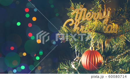 クリスマスホーリー クリスマス・ホーリー クリスマスツリー 60080714
