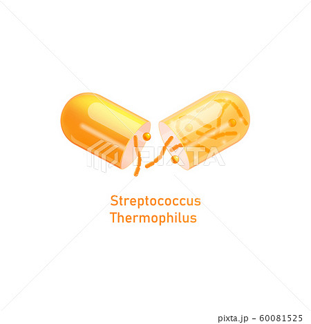 Streptococcus Thermophilus probiotic pill realistic vector illustration isolated. Streptococcus Thermophilus probiotic pill realistic vector illustration isolated. 60081525