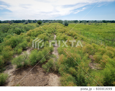 Rural summer landscape. Rural summer landscape. 60081699