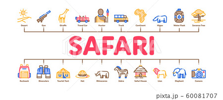 Safari Travel Minimal Infographic Banner Vector 60081707