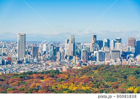 東京シティービュー 渋谷から新宿副都心眺望 東京シティービュー 渋谷から新宿副都心眺望 60081838