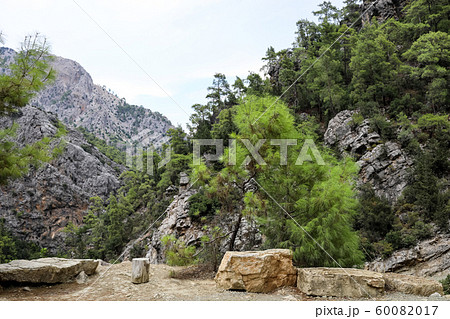 Recreation area with large flat stones for sitting in gorge among mountains and green pine forest. Selective focus. 60082017