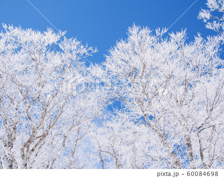 見事な樹氷 60084698