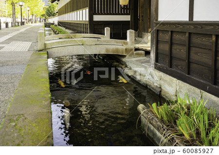 津和野　殿町通り　藩校養老館　島根県鹿足郡津和野町 60085927