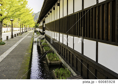 津和野 殿町通り 藩校養老館 島根県鹿足郡津和野町 津和野 殿町通り 藩校養老館 島根県鹿足郡津和野町 60085928