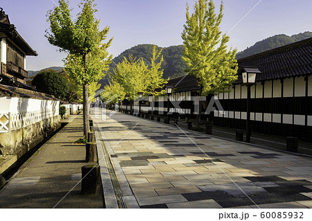津和野 殿町通り 藩校養老館 島根県鹿足郡津和野町 津和野 殿町通り 藩校養老館 島根県鹿足郡津和野町 60085932