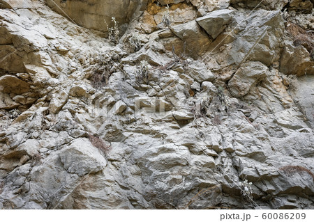 Part of layered rock formation with uneven surface and small plants in cracks. Natural background or wallpaper. Part of layered rock formation with uneven surface and small plants in cracks. Natural background or wallpaper. 60086209