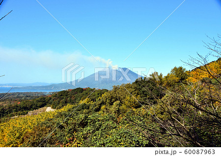 千本イチョウ園 60087963