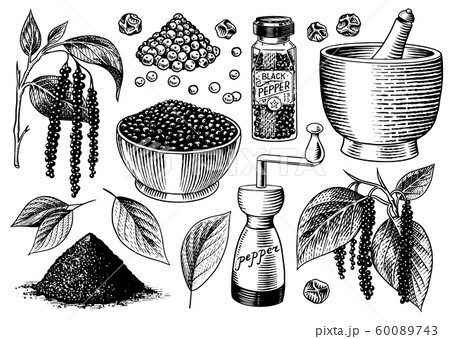 Black pepper set in Vintage style. Mortar and pestle, Allspice or peppercorn, Mill and dried seeds 60089743