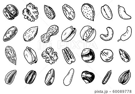 Nuts mix background. Seeds and granule, corn and grain. Hazelnut, Walnut, Almonds. Food concept. Top 60089778